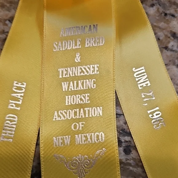 3 Vintage 1965 American Saddle Bred Tennessee Walker horse show rosettes ribbons - Picture 12 of 14